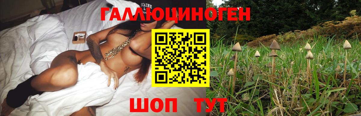 Заводоуковск  Псилоцибиновые грибы прущие грибы  дарнет шоп  Вход с VPN 